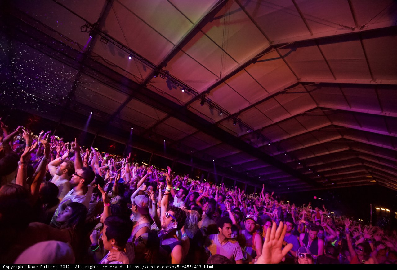 Ecstatic Crowd Embraces the Nightlife at Coachella 2012