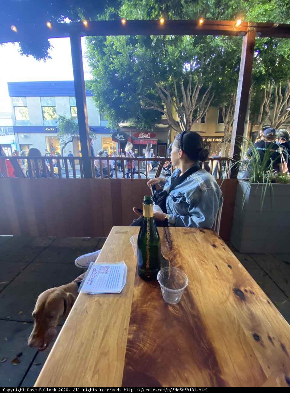 Table Talk with furry friends