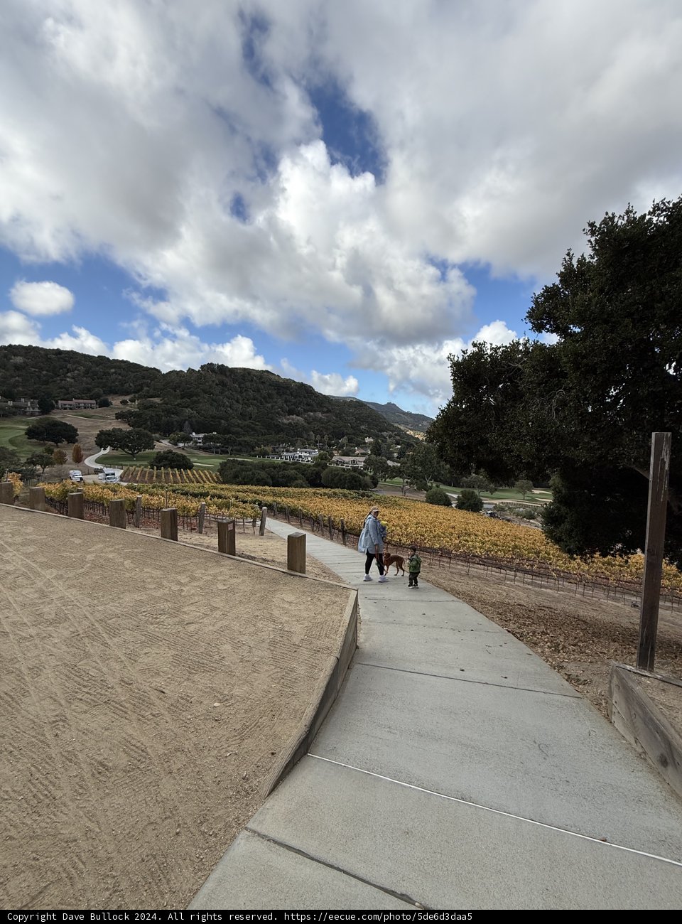 Stroll Through Carmel’s Vistas