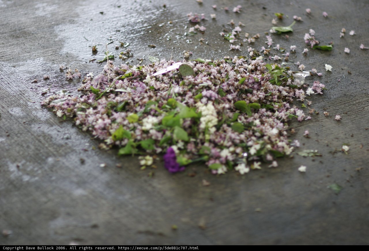Seasonal Herb Bouquet