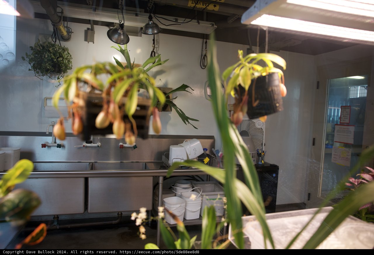 A Botanic Haven in the Heart of Home 2024