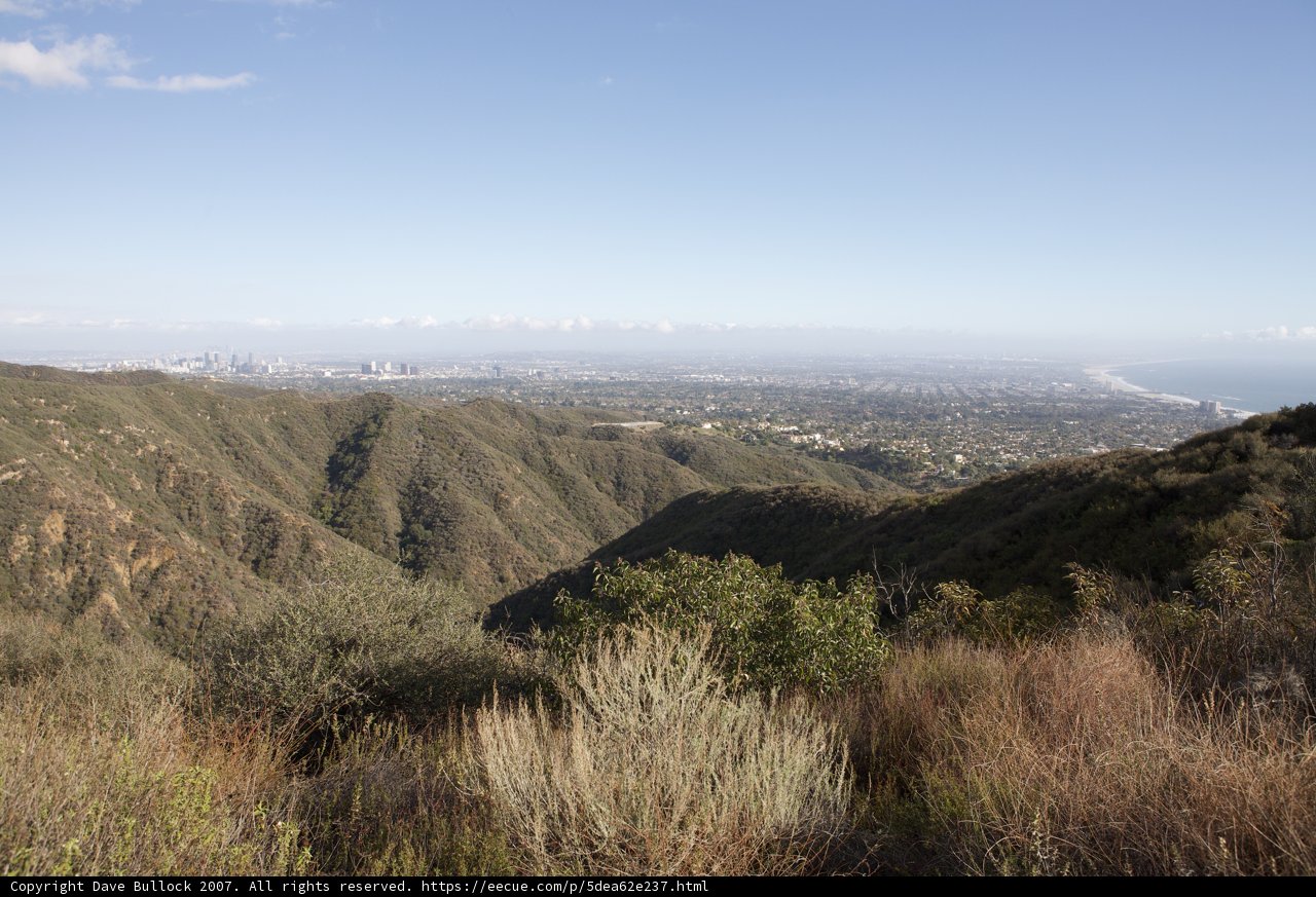 Overlooking the Wild Expanse