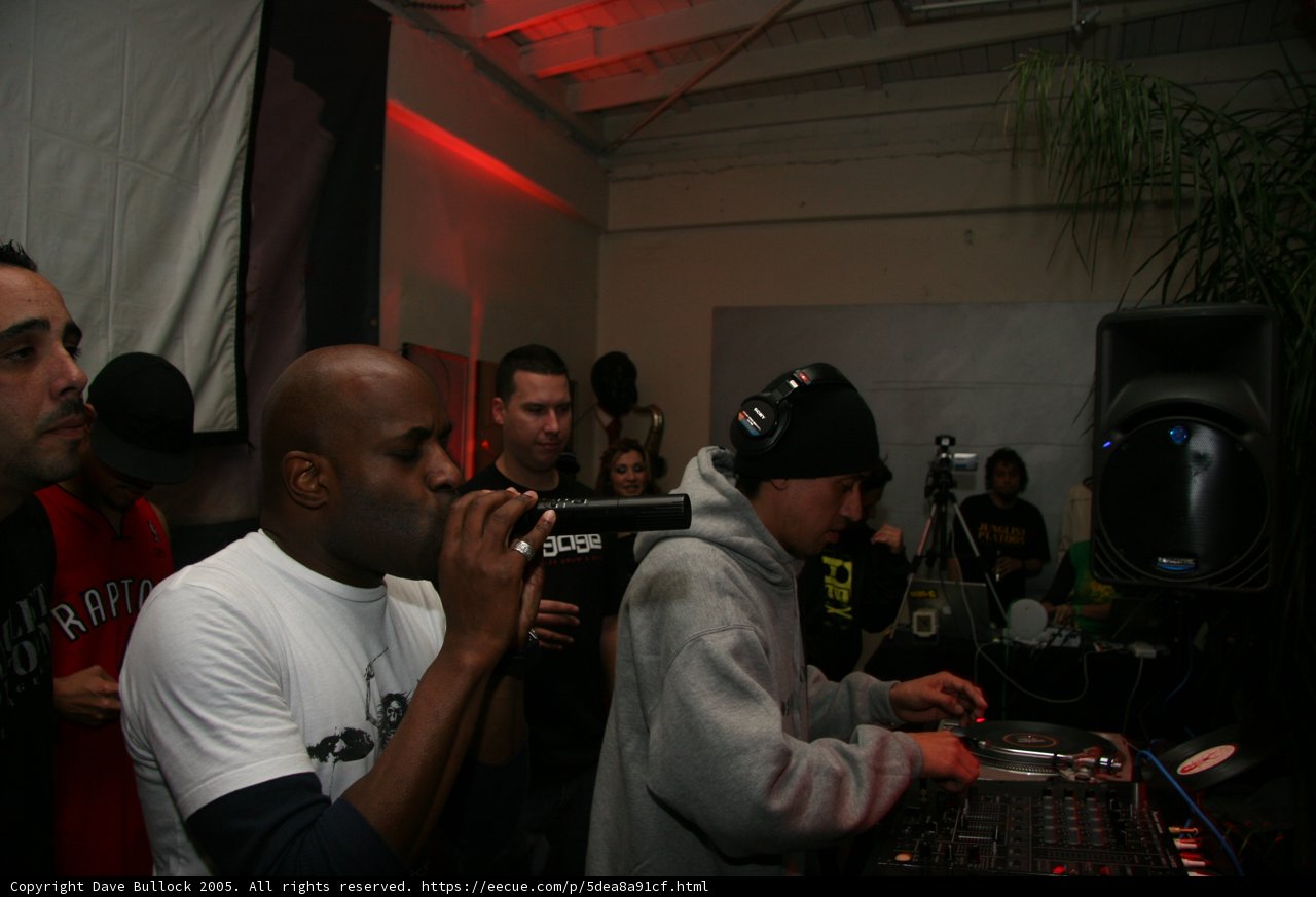 The Deejay at the Club