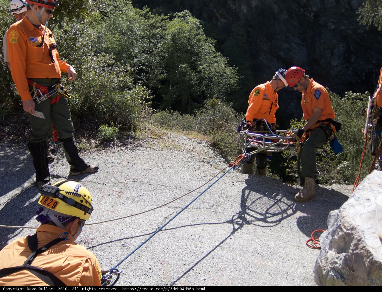 Orange-clad Workers on a Rescue Mission