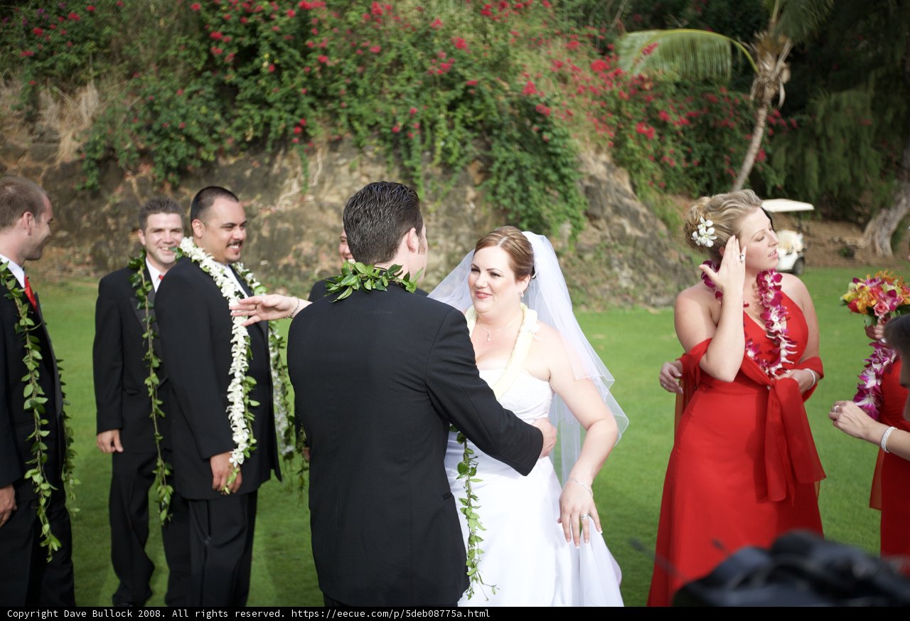 A Picture Perfect Wedding Party