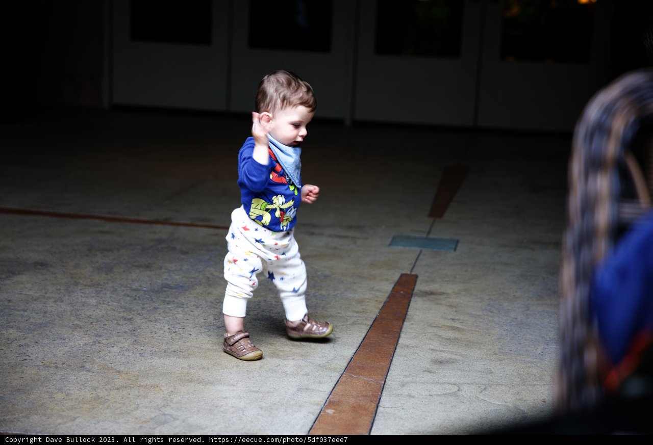 Toddler Adventure at Disneyland