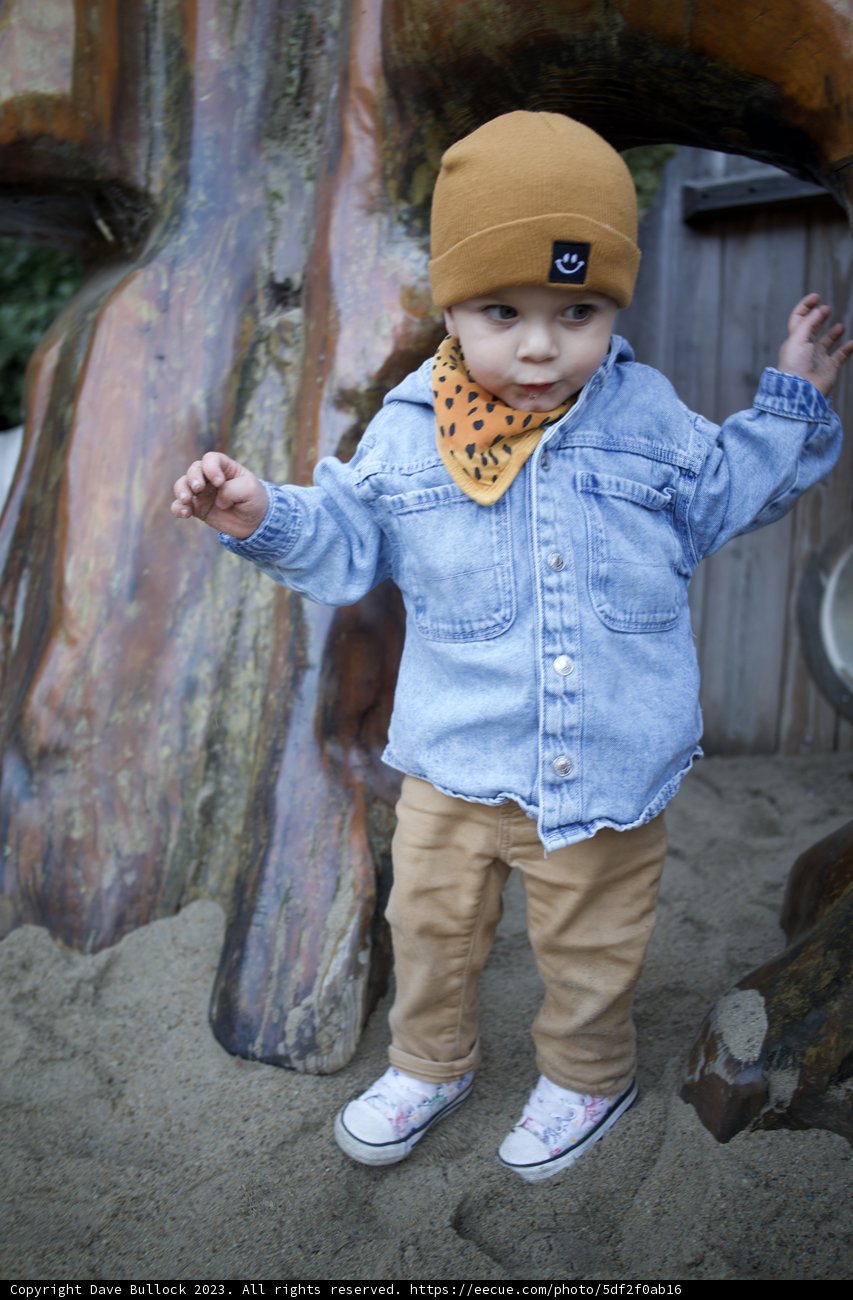 Wesley's Playful Adventure at SF Zoo