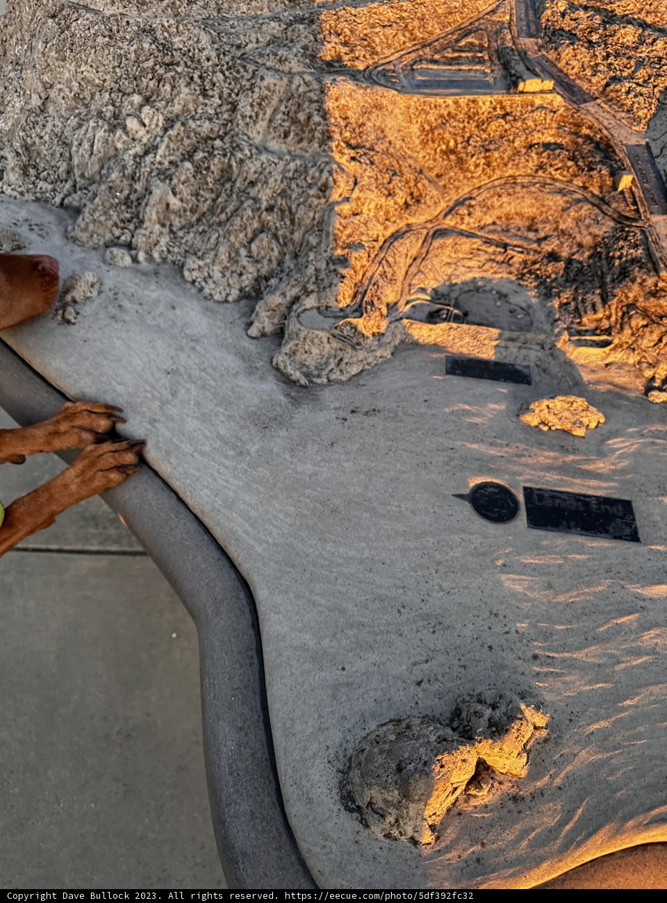 Rocky Shoreline Adventure