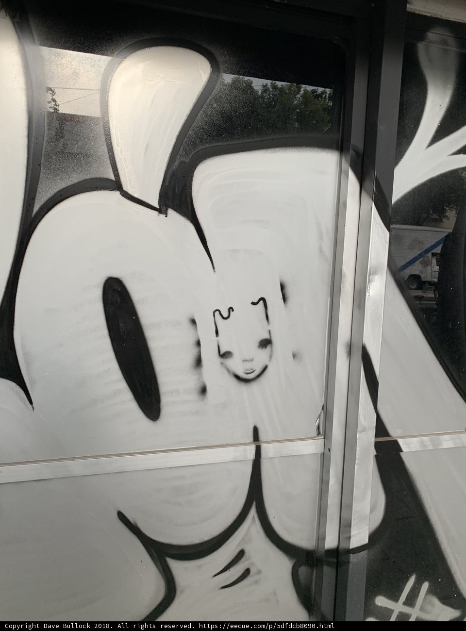 Feline Graffiti Door