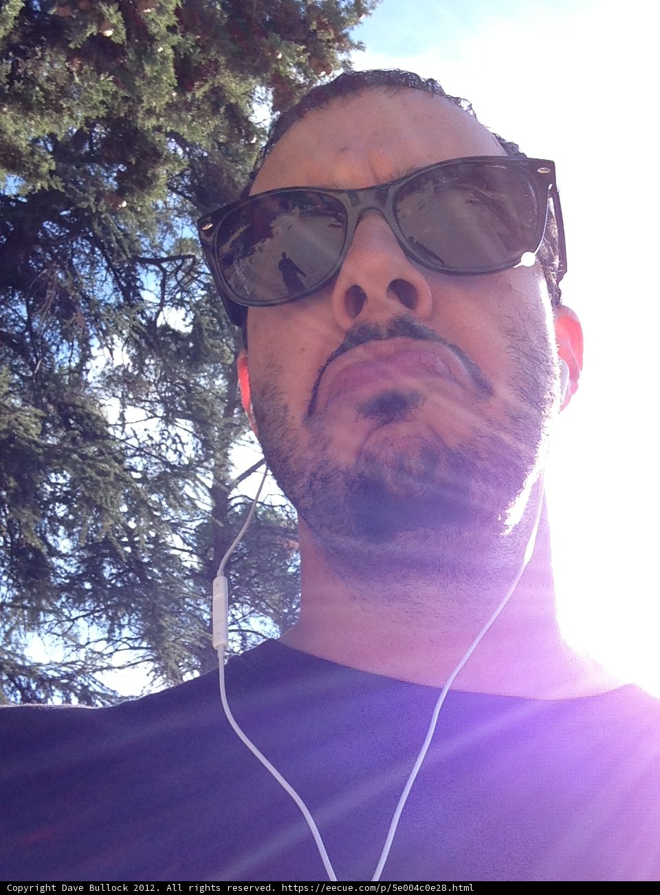 Shades and Sound
