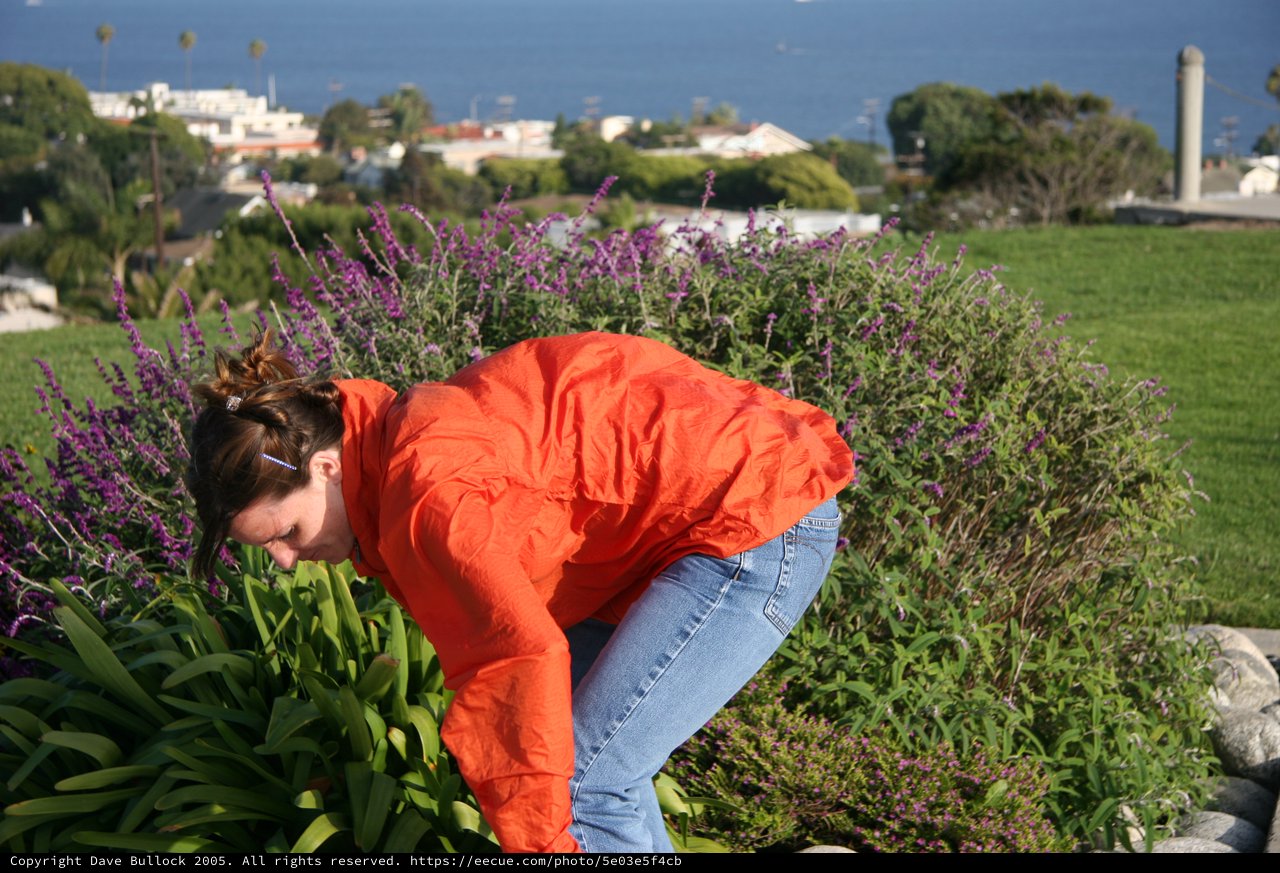 Woman Tending Garden with Coastal Town Behind Her