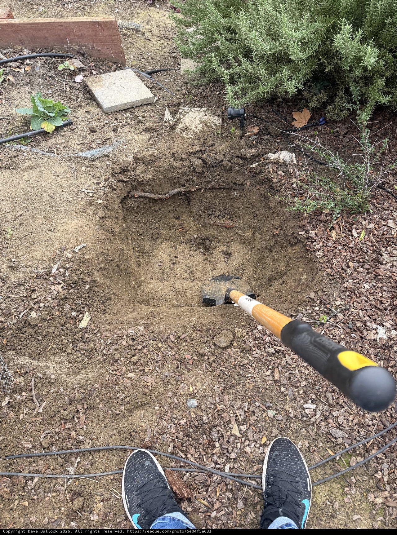 Digging a Garden Hole with Hand Tool
