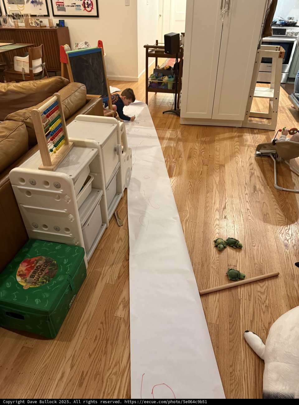 Creative Exploration at Home