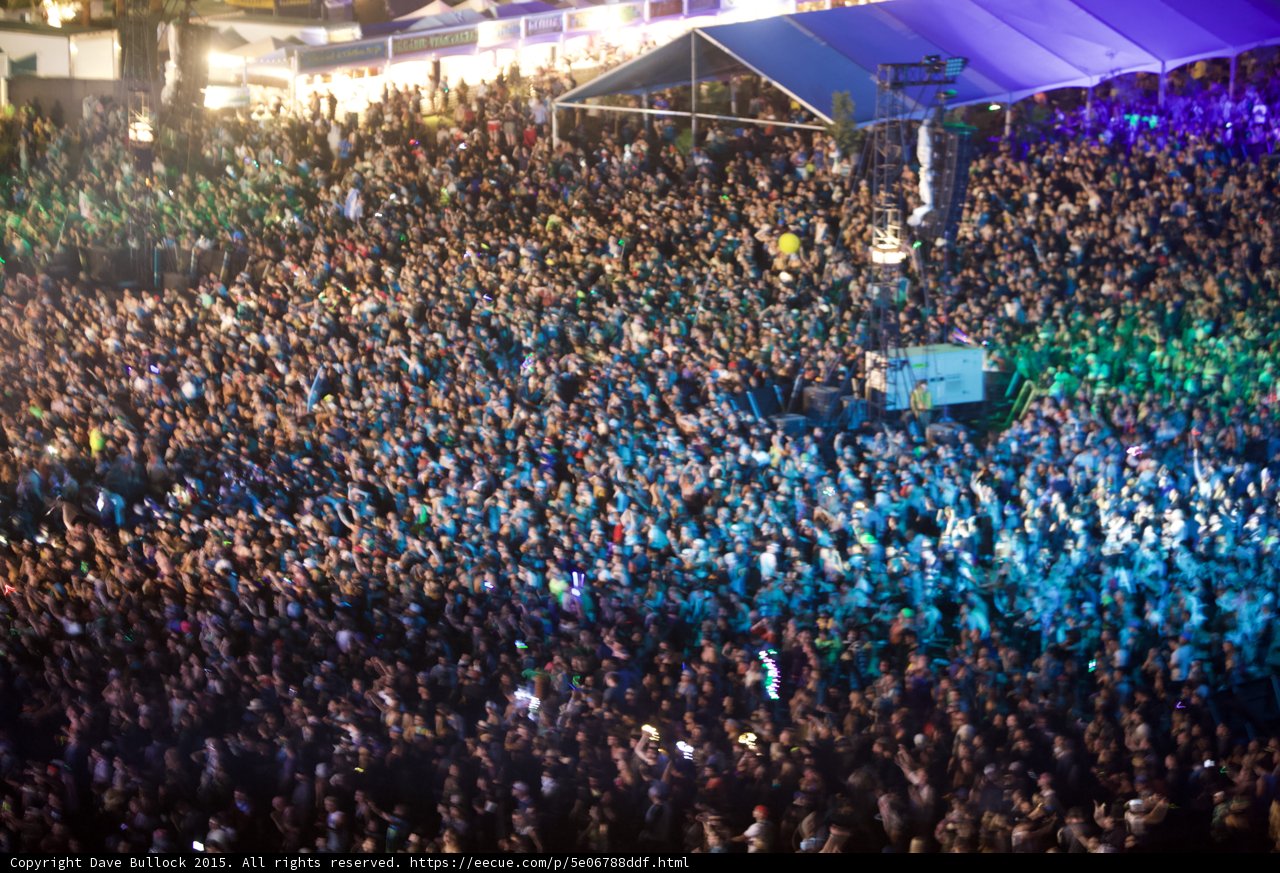 Coachella Chaos