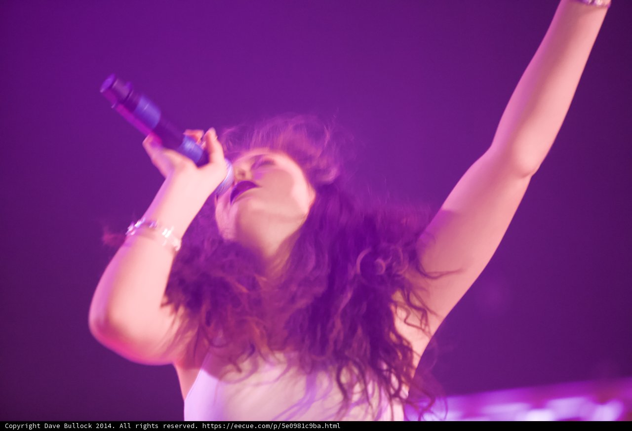 Purple Haze Performance