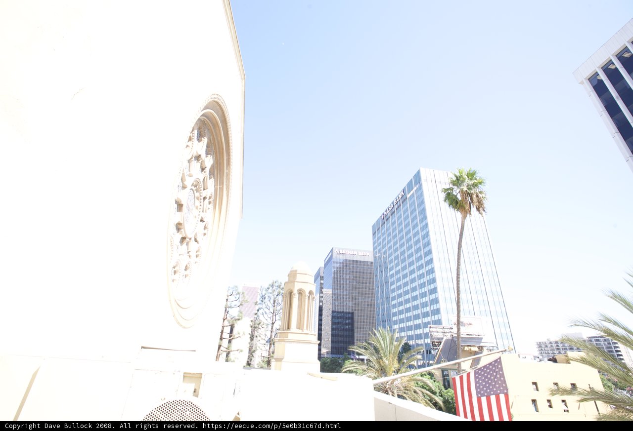 Wilshire Temple Clock Tower with Palm Tree