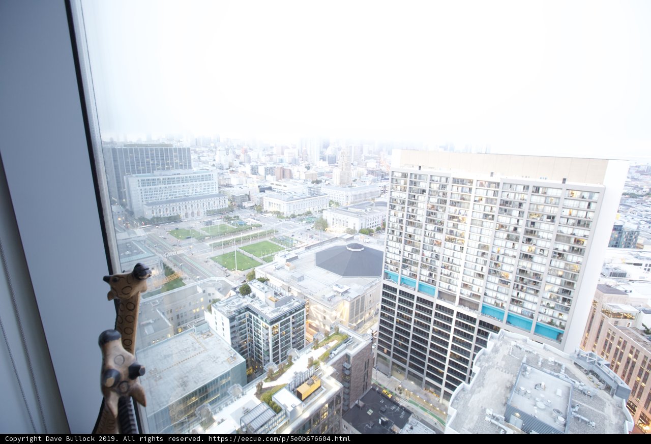 Giraffe in the Cityscape