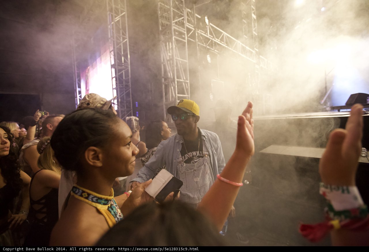 Smoke-Infused Concert Crowd