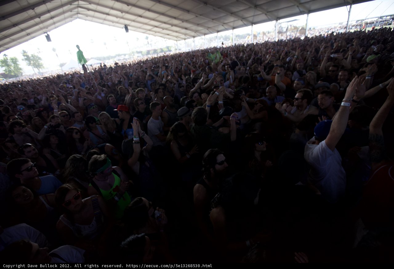 Coachella Chaos