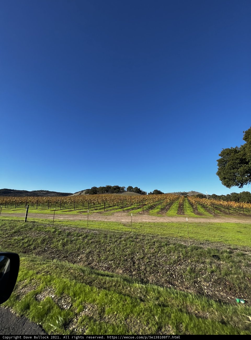 Cruising through the Napa Countryside