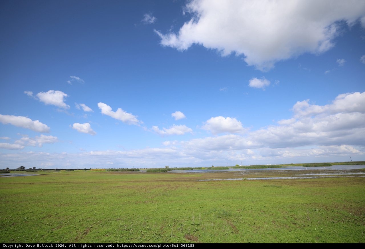 Wetland Landscape Under Expansive Spring Sky