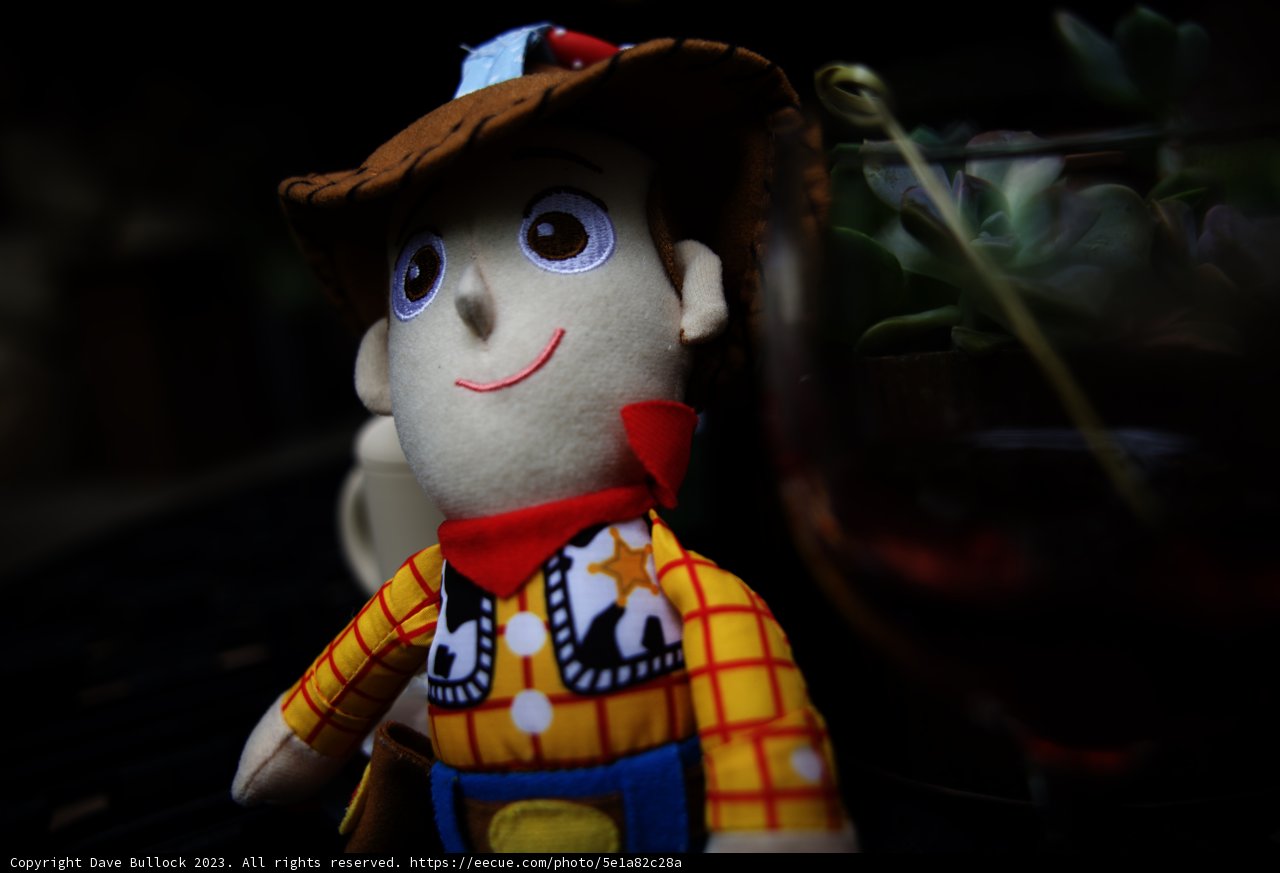 Woody's Wine Time
