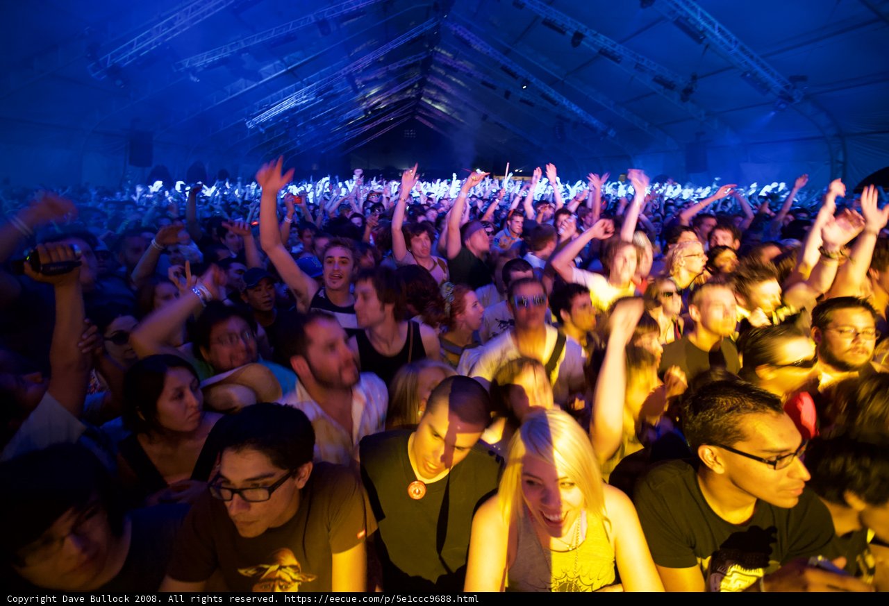 2008 Coachella Concertgoers Raise the Roof