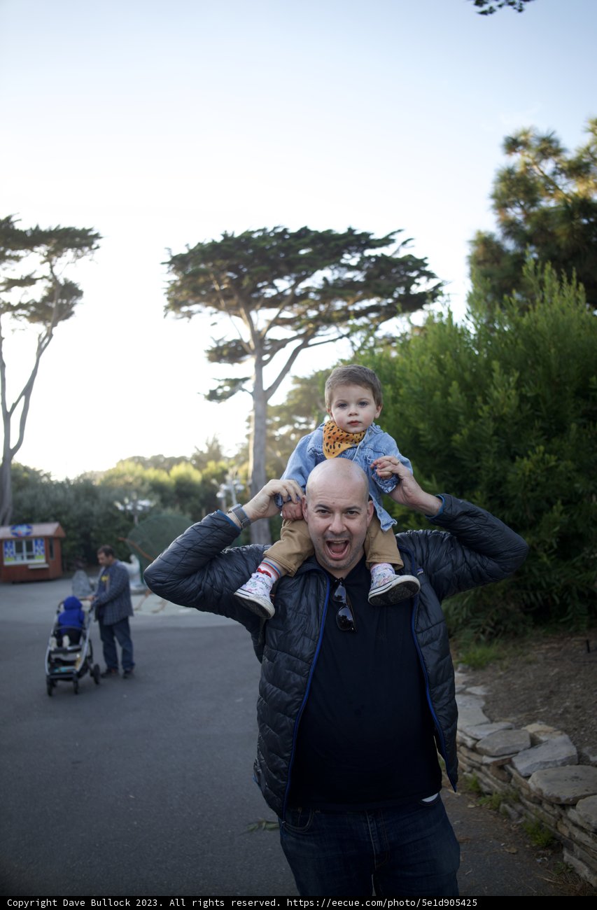 Strolling Through the Woodlands: Father and Son Moment