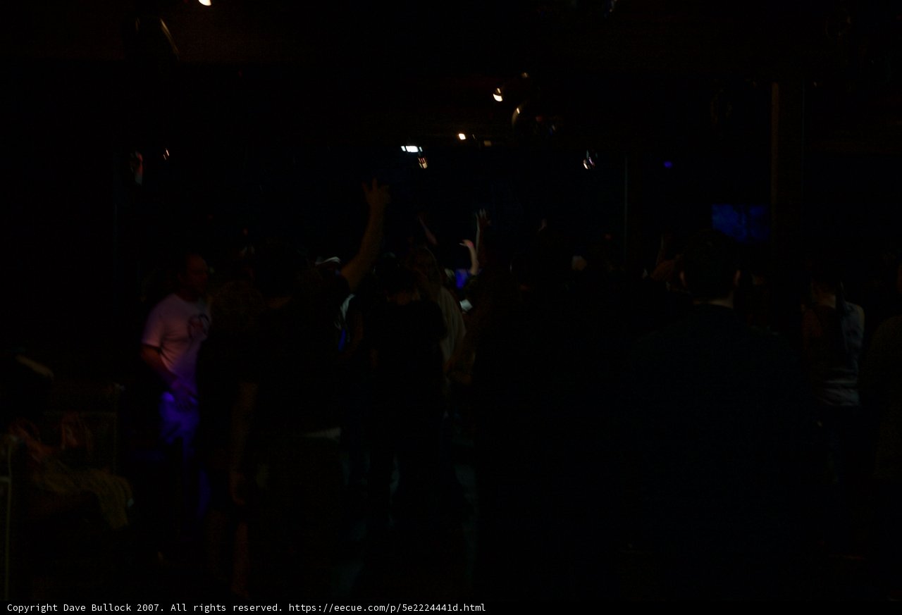 Partygoers Let Loose