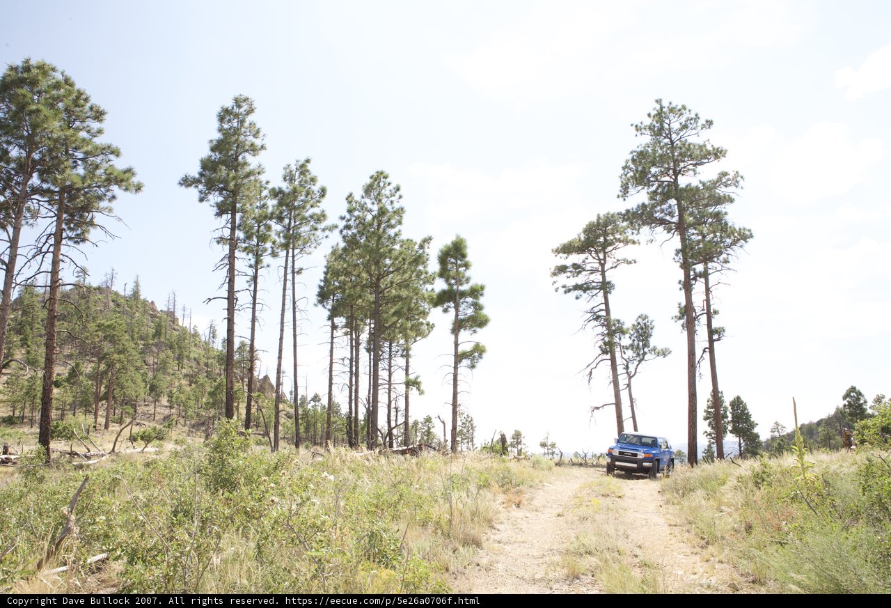 Off-Roading Adventure in Dome Wilderness