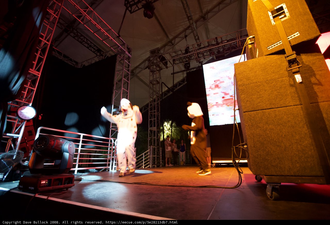 Concert Performance at Coachella