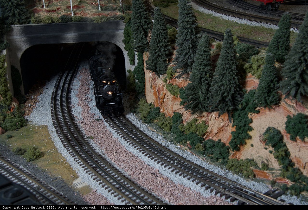The Toy Train in the Tunnel of Trees