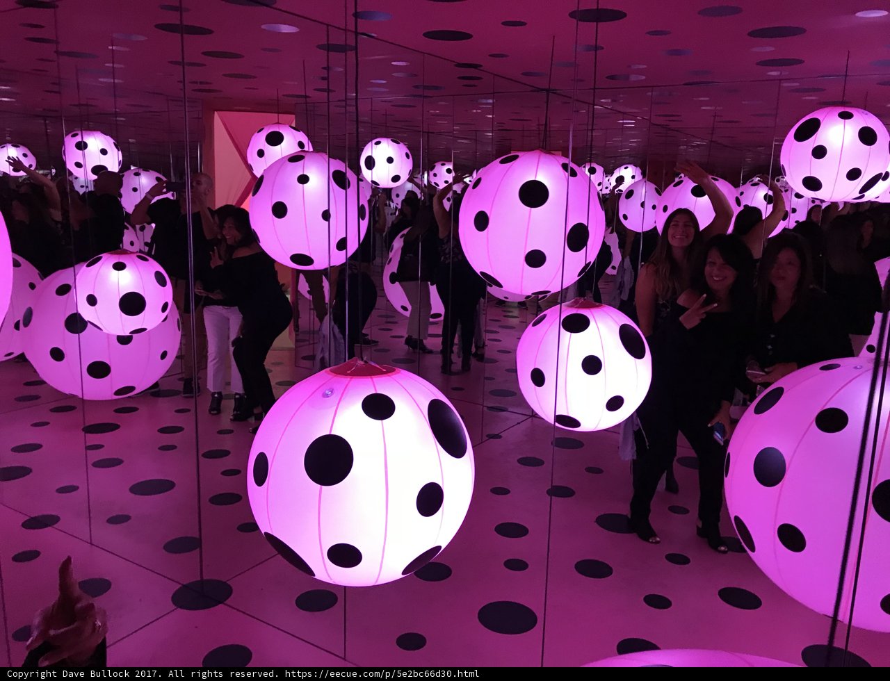 Polka Dot Party