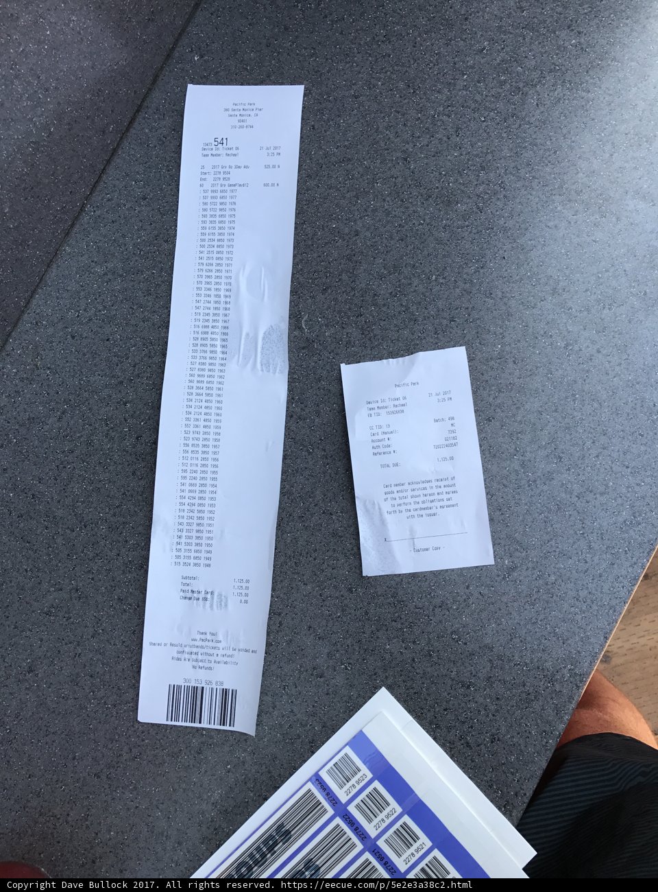 Paper Trail