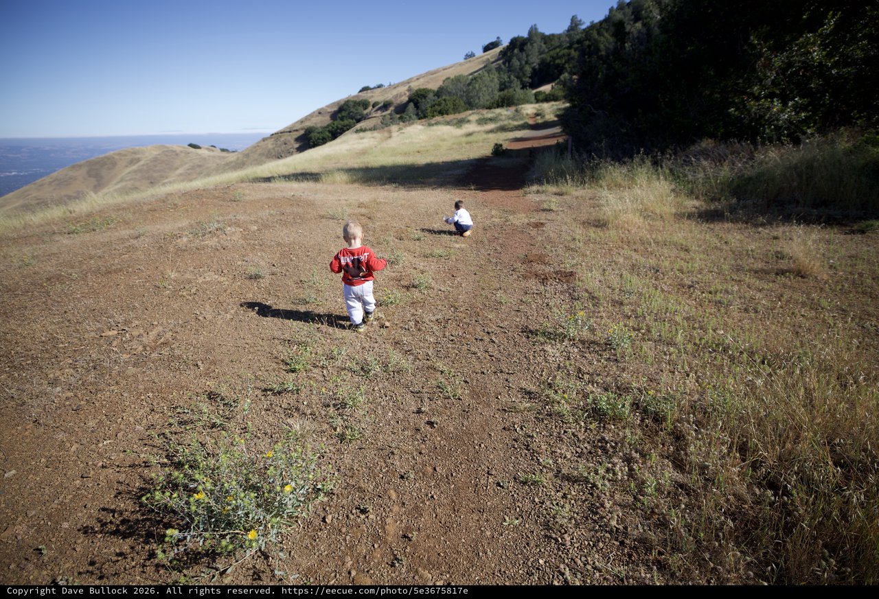 Young Children Exploring the Hillside Trail Together