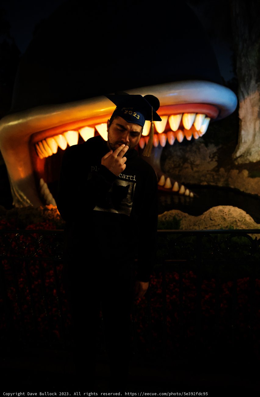 A Whimsical Encounter at Disneyland