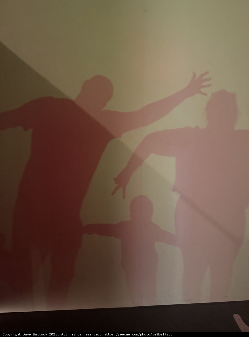 Shadows of Joy