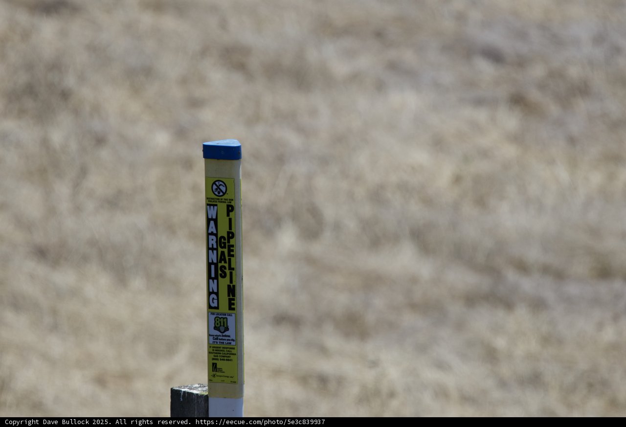 Caution in the Grasslands