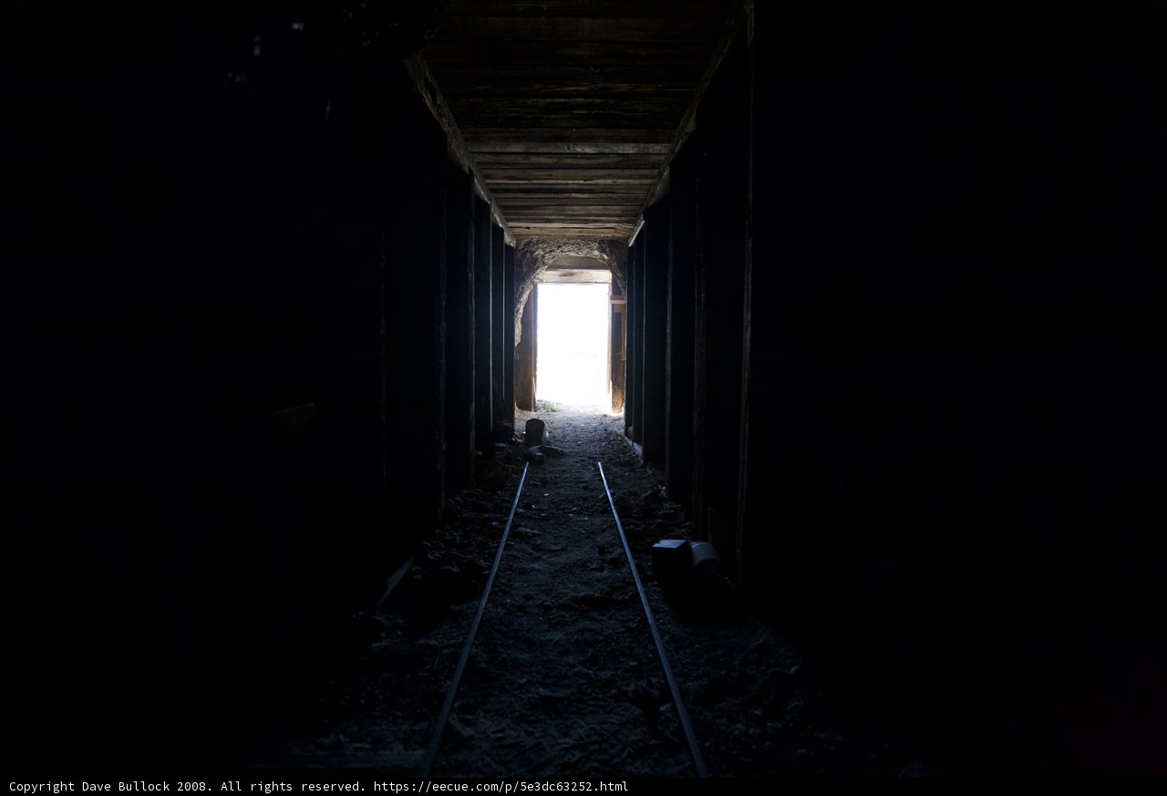 Enchanted Corridor