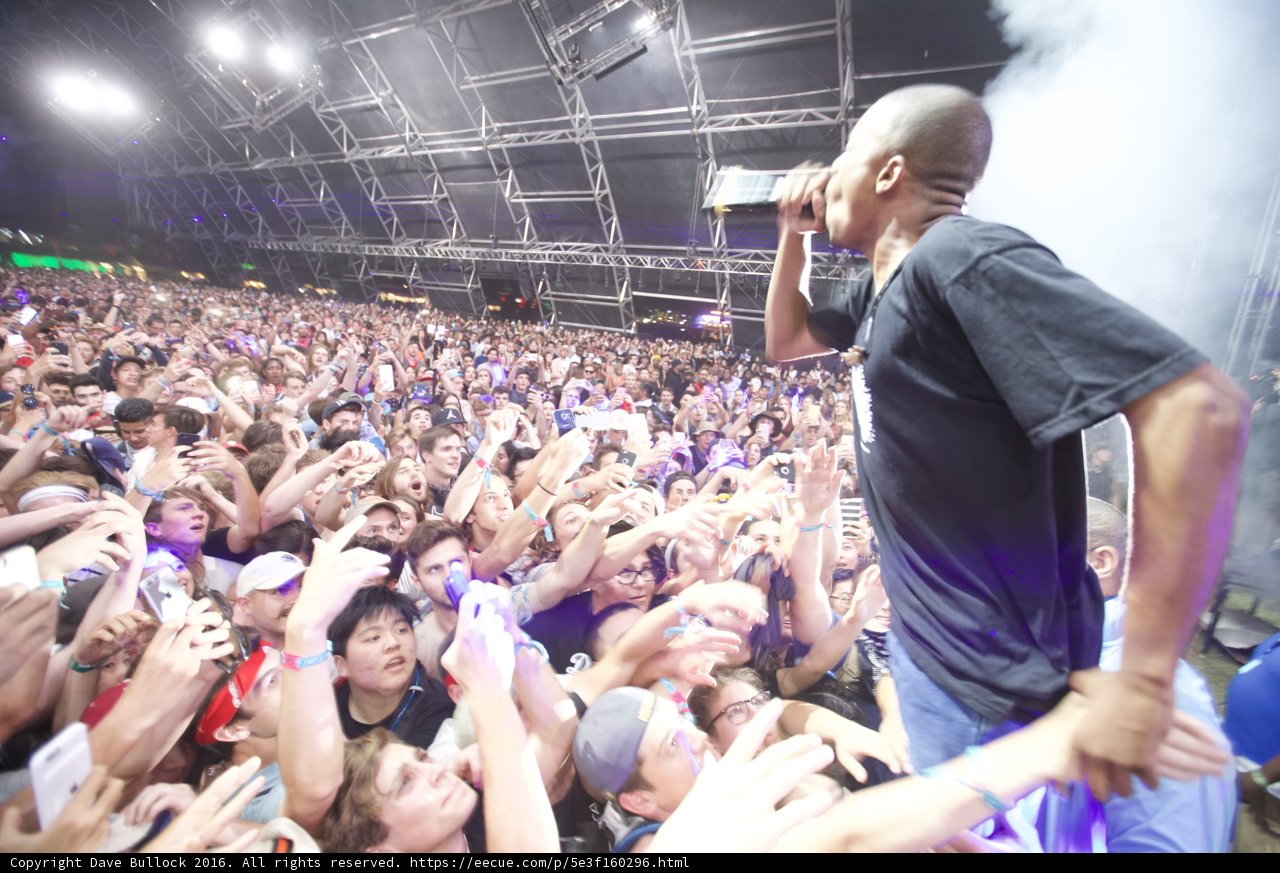 The Crowd Goes Wild