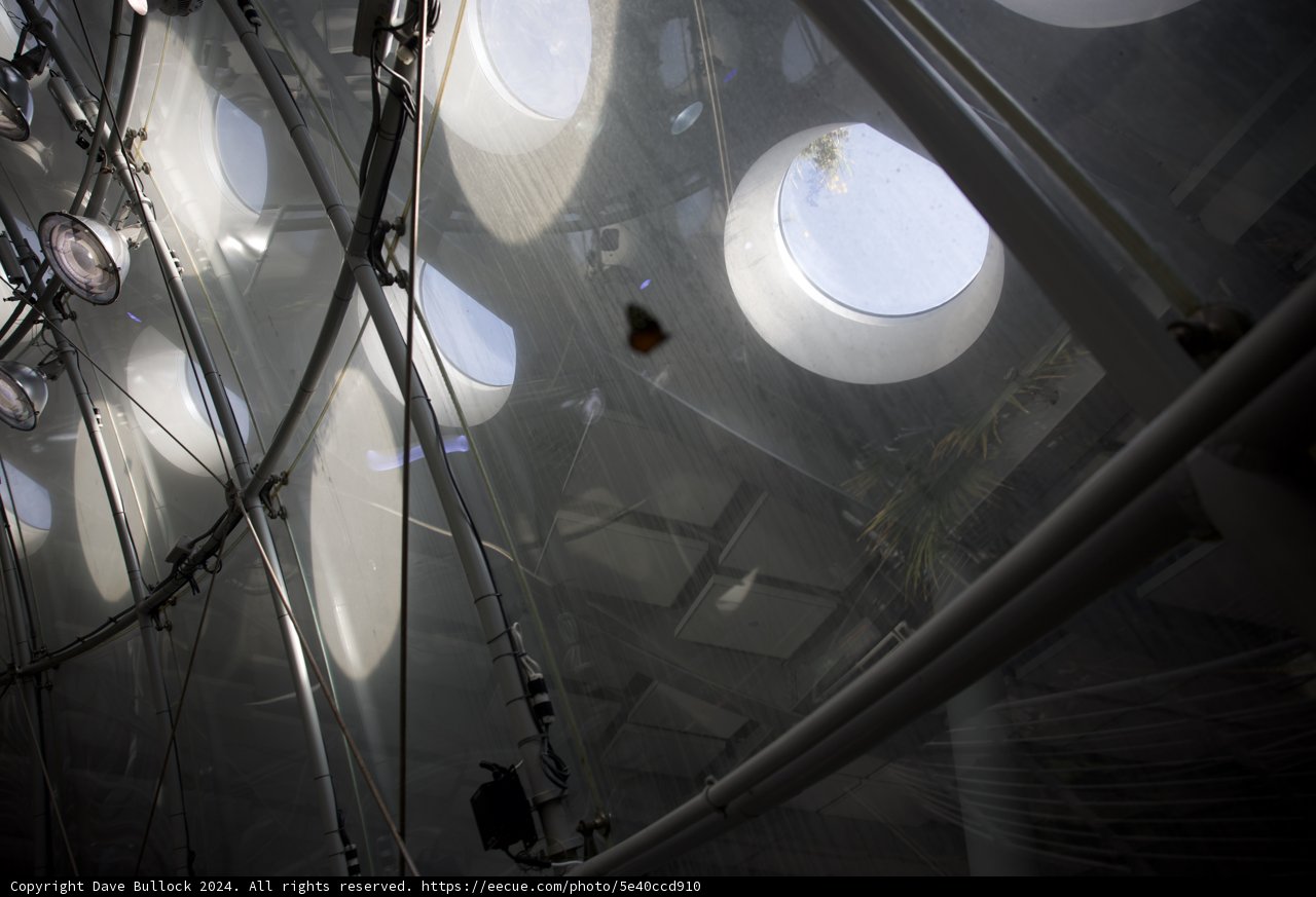 Architectural Marvel at the California Academy of Sciences, 2024