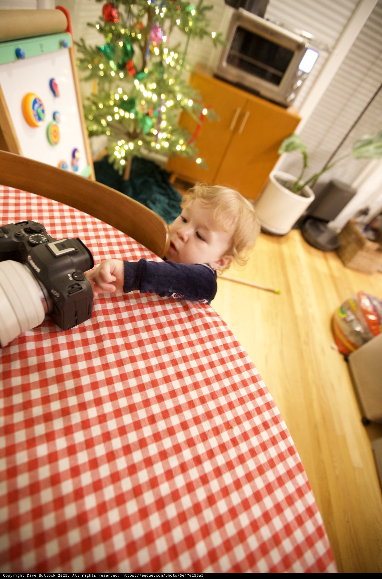 Toddler Reaching for Camera at Christmas Morning