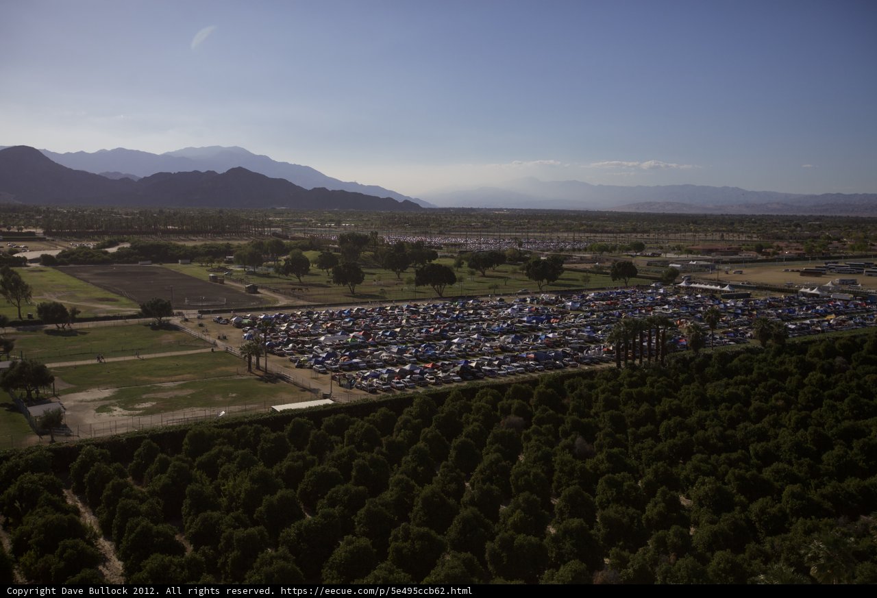 The Tree Haven Parking Lot
