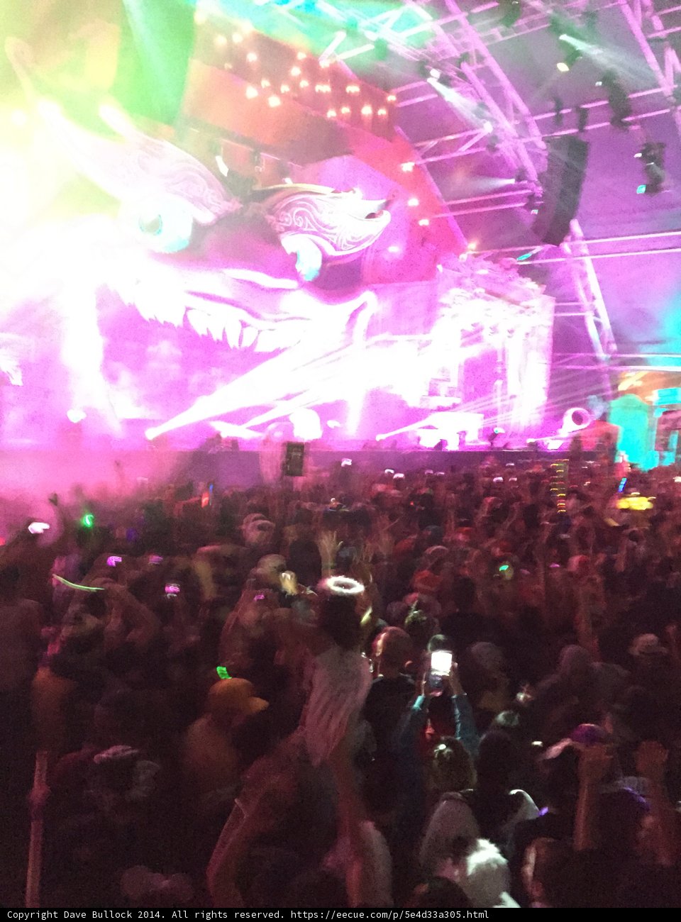 Colorful Spotlight on an Exciting Crowd at a Nightclub Performance