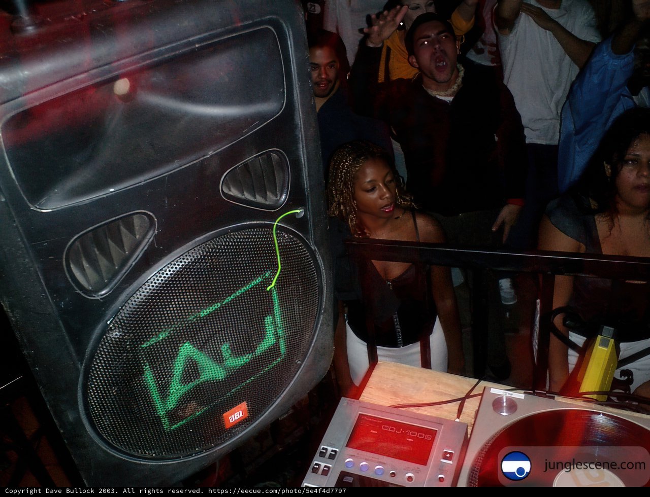 DJ spinning at a club party
