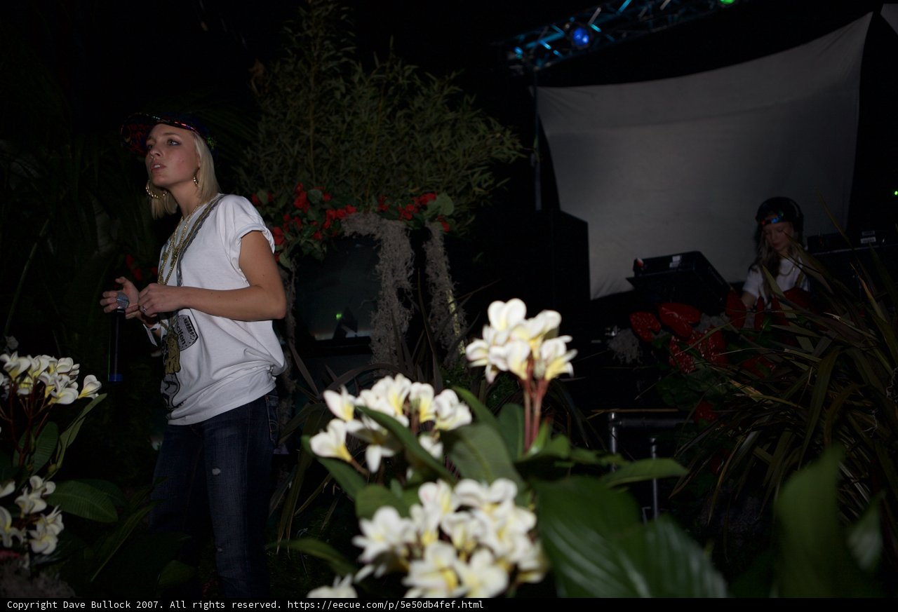 Flower Power