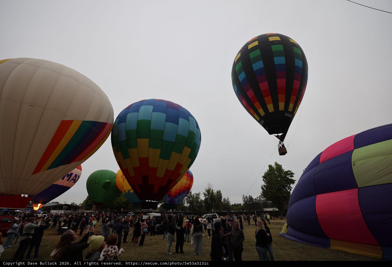 Colorful Hot Air Balloons Launch at Sonoma Classic