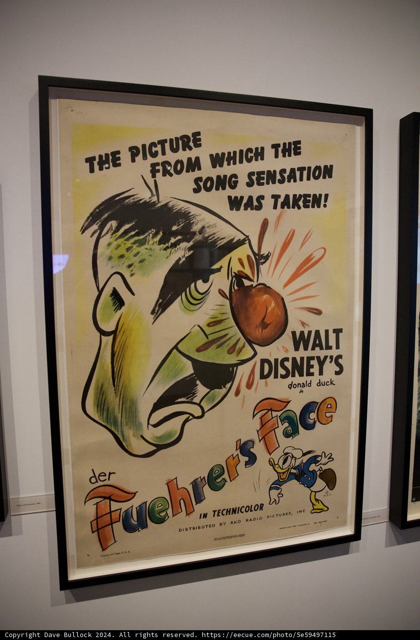 Immersive Visual Journey - "Fish Face" Movie Poster Exhibition