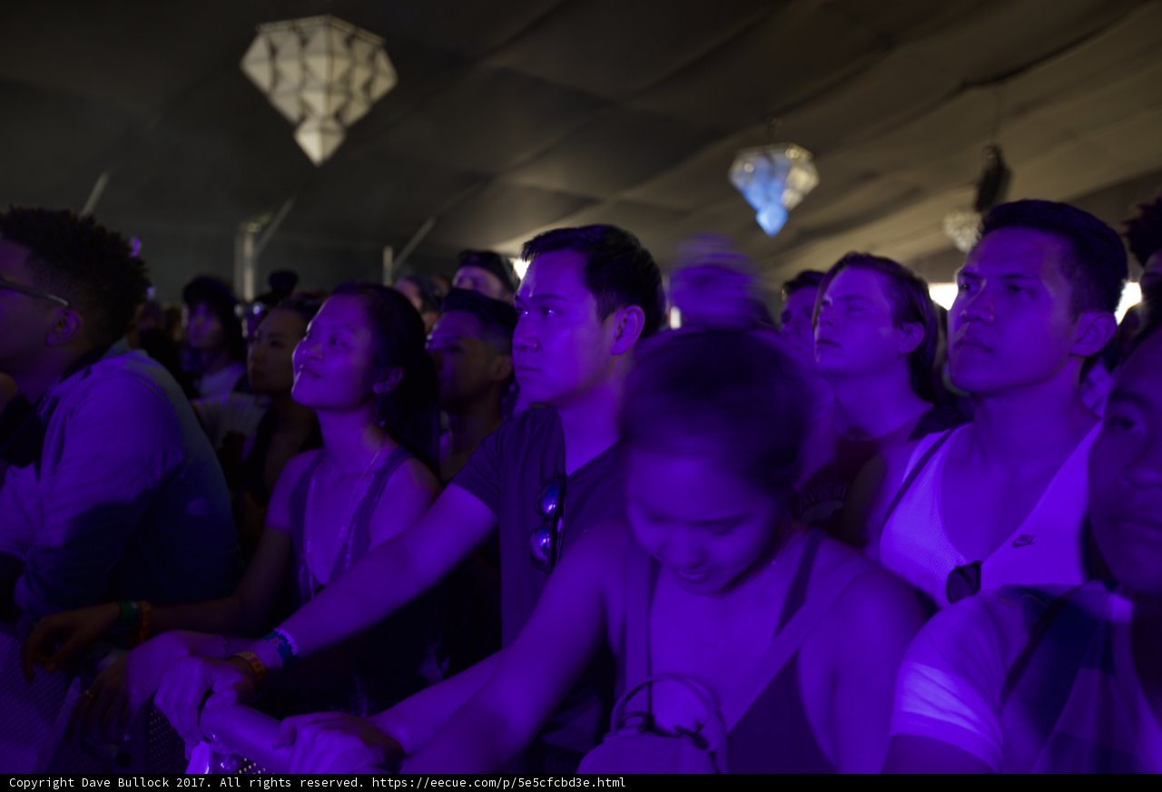Purple Haze at the Nightclub