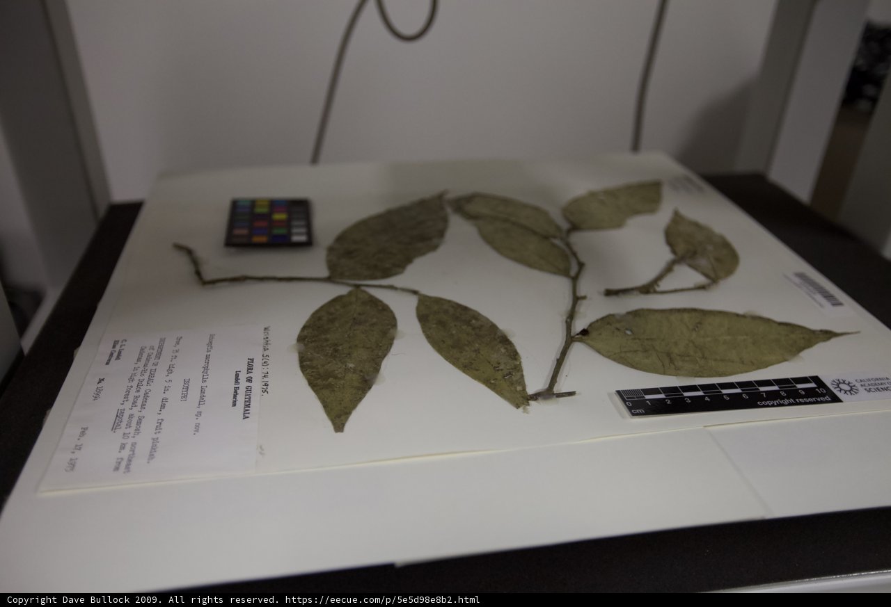 Nature Meets Technology